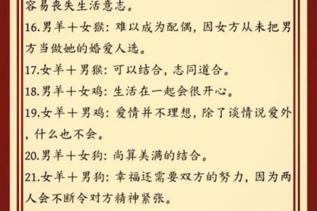 属鸡和属羊的配对分析：是否和谐与互补？
