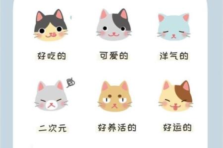 为你的狗狗取个独特的名字，这些创意灵感让你心动