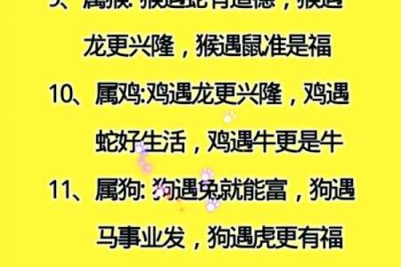 虎与狗是否合适做伴侣？深入分析它们的相处之道