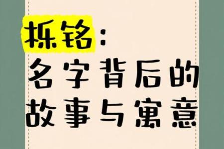 独特名字的背后故事与文化意义