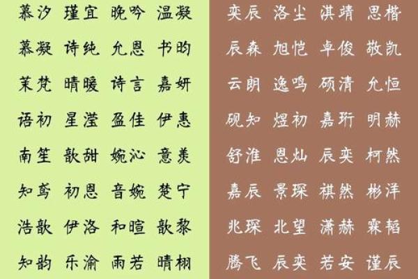 如何为盖姓男宝宝挑选一个既有文化底蕴又有个性的名字