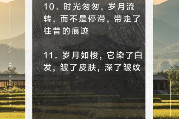 重温1982年:农历万年历带你领略岁月流转之美 重温1982年:农历万年历带你领略岁月流转之美