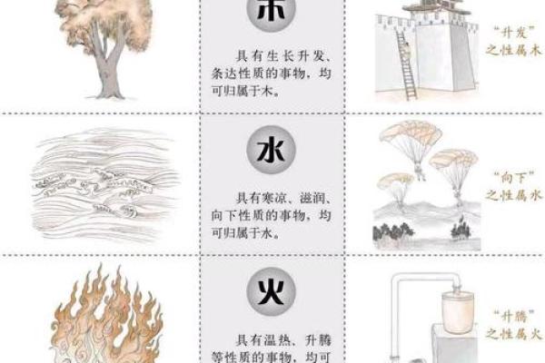 甫五行属什么?揭秘你的命运之源 甫五行属什么?揭秘你的命运之源