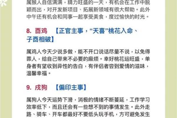 生肖运势指南：如何迎接新挑战