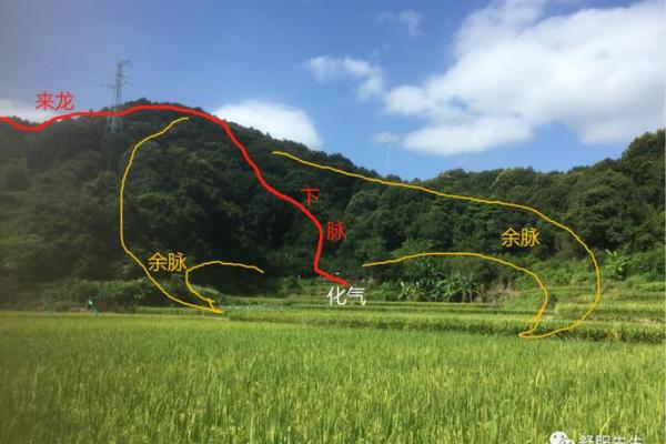 风水护砂的关键作用与布局方法 风水护砂的关键作用与布局方法