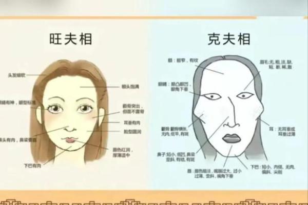 如何理解女命在命理学中的独特定位 如何理解女命在命理学中的独特定位