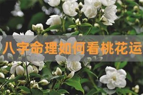 八字桃花星揭秘:提升个人魅力的奥秘 八字桃花星揭秘:提升个人魅力的奥秘