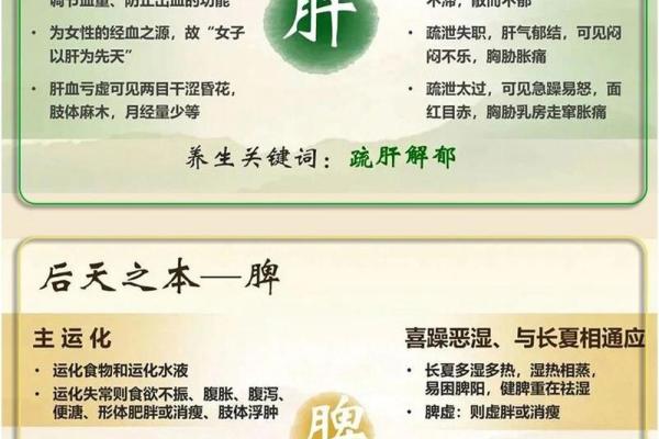 揭秘人的五行体质,如何找到适合自己的养生之道 揭秘人的五行体质,如何找到适合自己的养生之道