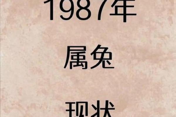 本命年属兔人如何调节家庭关系 本命年属兔人如何调节家庭关系