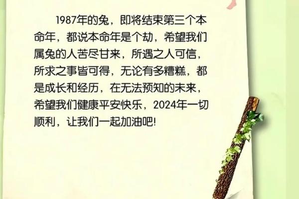 本命年属兔人如何调节家庭关系 本命年属兔人如何调节家庭关系