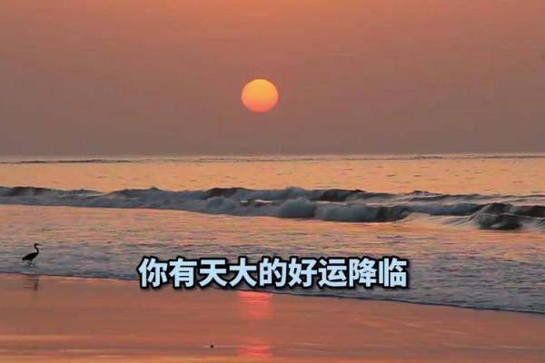 农历,属于你的好运将降临! 农历,属于你的好运将降临!