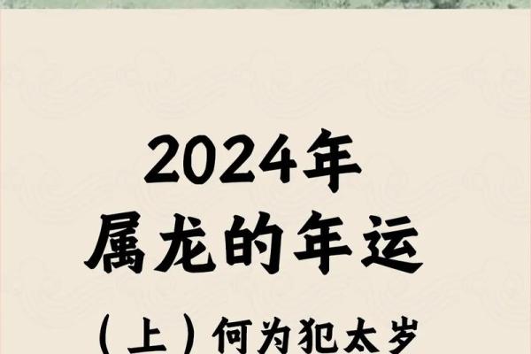 属龙本命年如何做好个人规划 属龙本命年如何做好个人规划
