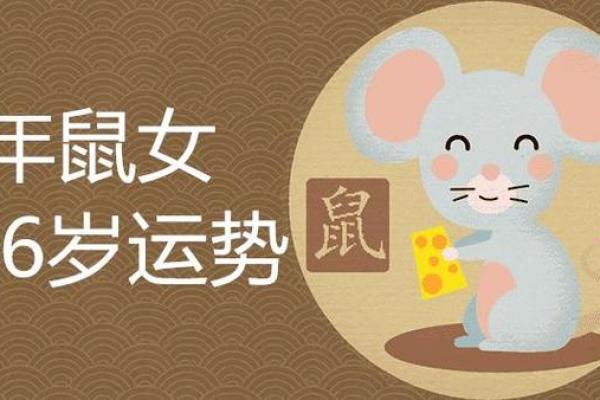 本命年鼠女如何在职场中站稳脚跟 本命年鼠女如何在职场中站稳脚跟