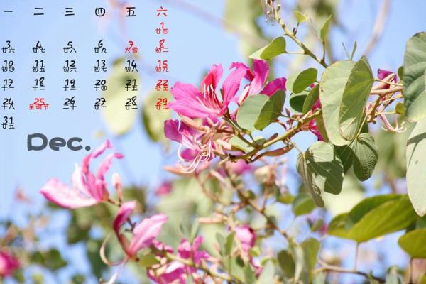 穿越时空的2010年万年历,珍藏版来袭 穿越时空的2010年万年历,珍藏版来袭