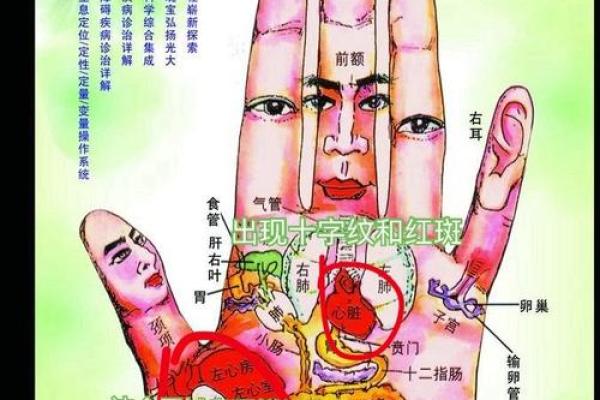 掌纹透露哪些操手心相命显示运的你手是相个特点操分析心命的人 掌纹透露哪些操手心相命显示运的你手是相个特点操分析心命的人