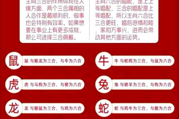 生肖运势:情感运势及人际关系变化 生肖运势:情感运势及人际关系变化