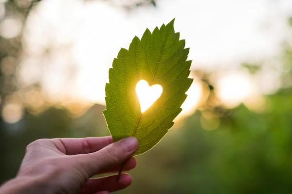 解析女性桃花运旺盛的内在因素与外在表现 解析女性桃花运旺盛的内在因素与外在表现
