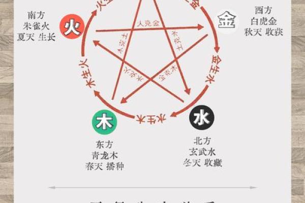 素描五行基础解析,助你画出更生动的作品 素描五行基础解析,助你画出更生动的作品