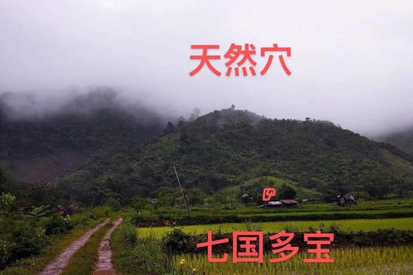 办公窗前风景风水,助你事业飞黄腾达的秘密 办公窗前风景风水,助你事业飞黄腾达的秘密