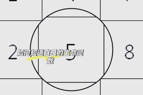 生辰八字测试免费，揭开你的命运奥秘！