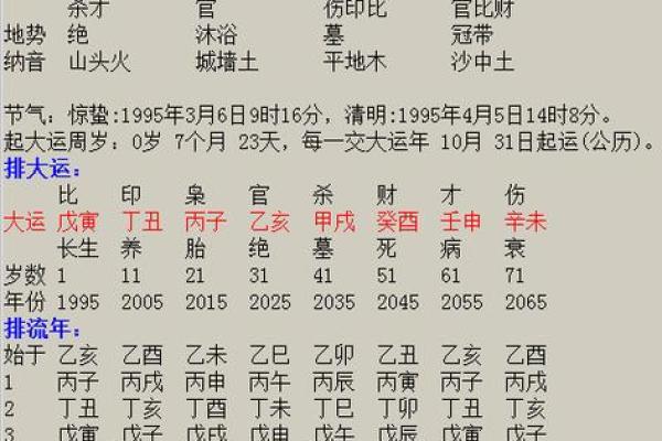 乙亥命格的含义与特点解析 乙亥命格的含义与特点解析