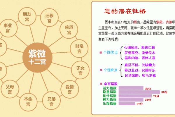 紫薇斗数和八字哪个更准确？专家解析揭秘你想知道的真相