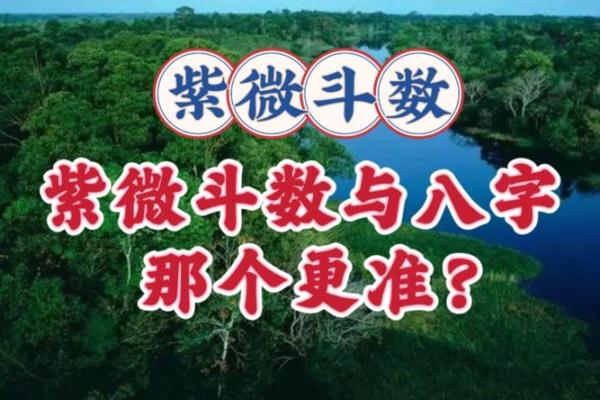 紫薇斗数和八字哪个更准确？专家解析揭秘你想知道的真相