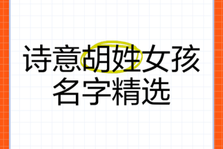 打造独特的胡姓男孩名字，展现个性与品位