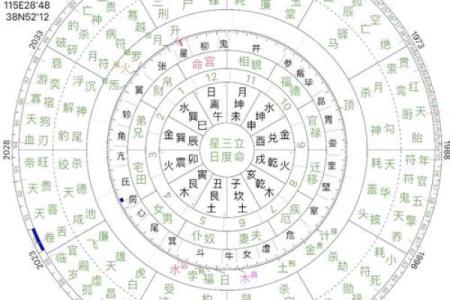戊命命理解读与运势分析