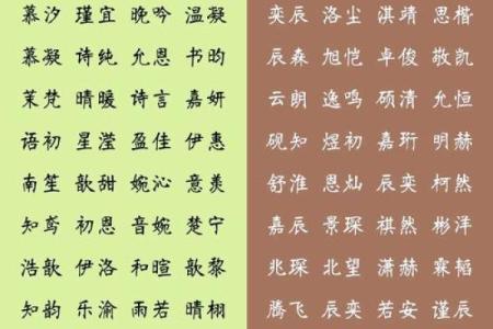 如何为盖姓男宝宝挑选一个既有文化底蕴又有个性的名字