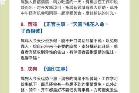 生肖运势指南：如何迎接新挑战