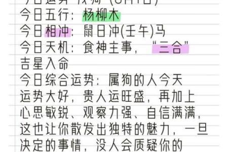 属狗人运程解析：事业、财运、感情三大要素