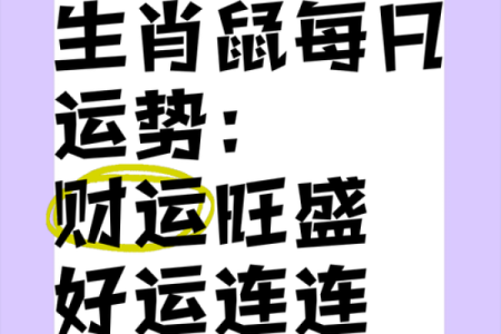 鼠运程解析：鼠年的运势大揭秘
