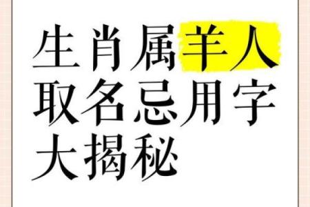 最适合羊宝宝的吉祥名字，寓意美好