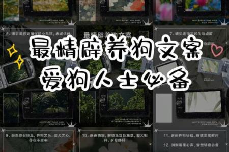 探索男马女狗婚姻的和谐与冲突