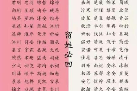 宝宝起名免费指南：选择最佳名字的技巧