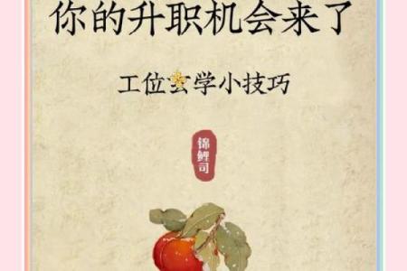 优化公司办公区域风水提升员工效率与企业运势