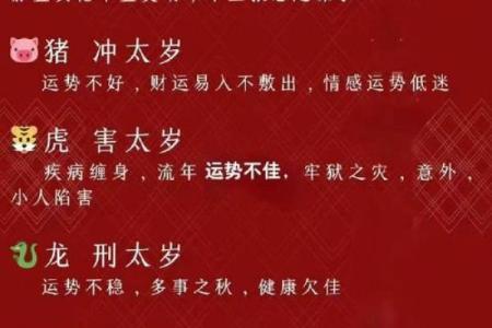 属蛇人如何在本命年找到正确的机会