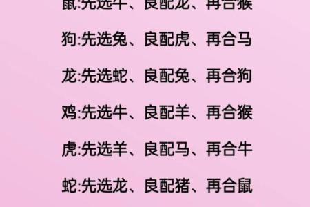 羊与狗的婚姻契合度分析与生活调和秘诀