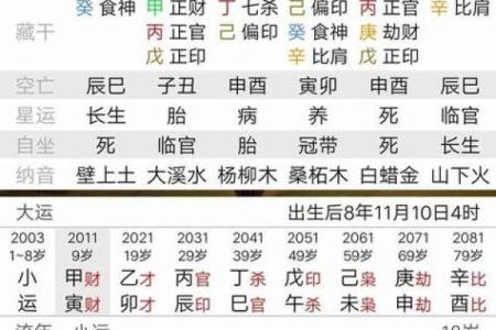 鸡的八字解读：如何通过命理看出你的财富运势？