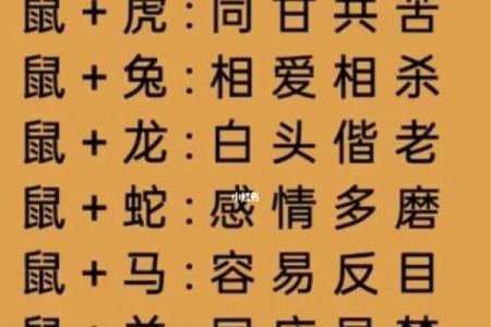 属相相配表解析：如何根据生肖搭配合适的婚姻伴侣