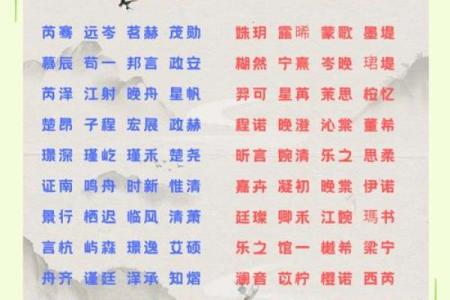 探索一的名字在不同文化中的独特含义