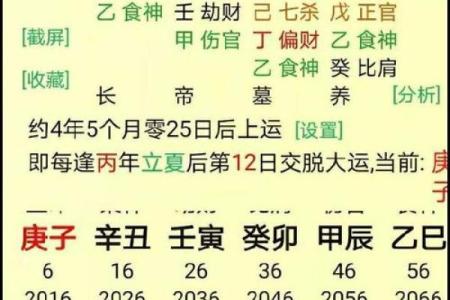 八字命盘解析：如何从出生时间看懂你的命运走势