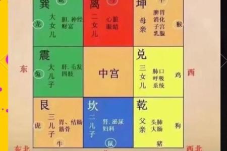 家居风水如何影响病人的健康与康复