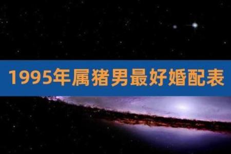 属猪男与属蛇女的爱情匹配度分析