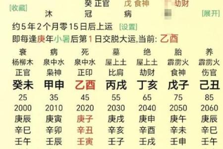 年出生的人未来十年运程预测