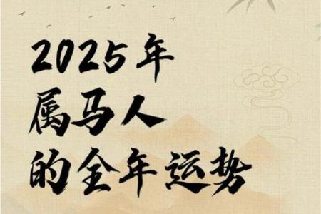 属马人本命年如何保持职场竞争力