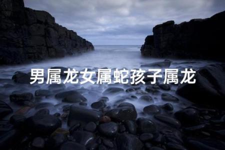 男属龙女属蛇的婚配缘分与性格分析