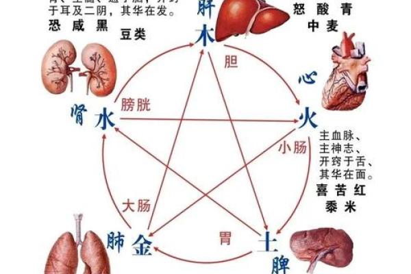 是什么命?五行解析让你更了解自己 是什么命?五行解析让你更了解自己