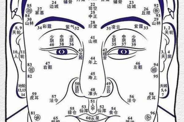 彦命运解析:详细解读属什么命与性格特征 彦命运解析:详细解读属什么命与性格特征